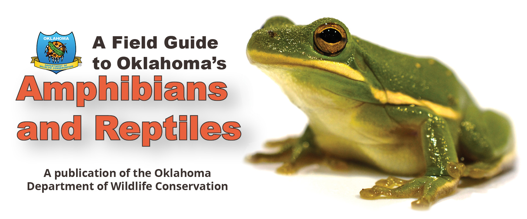 Amphibian and Reptile Guide Custom-made for Oklahoma | Oklahoma